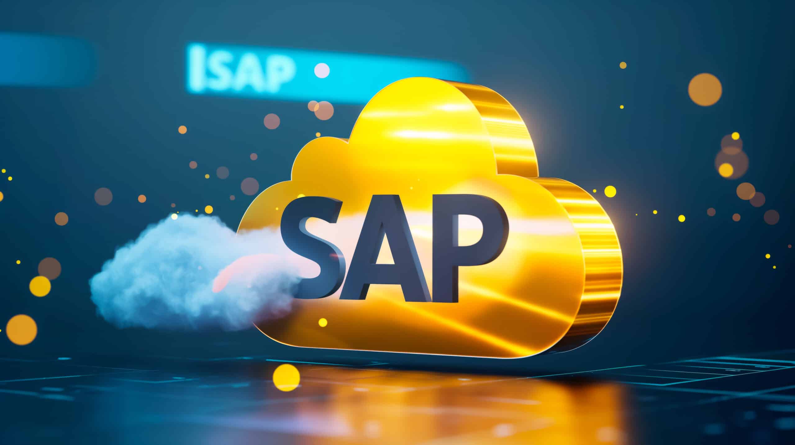 SAP in the Cloud